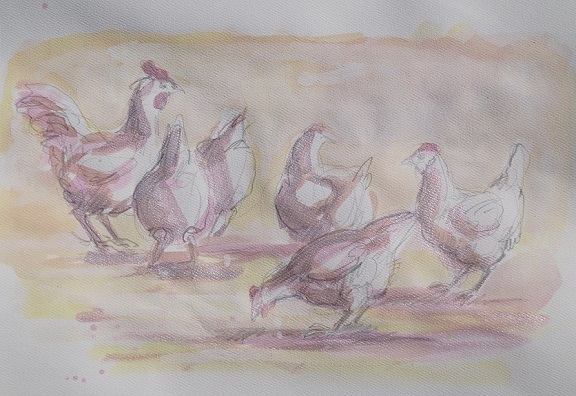 Five Hens and One Rooster 8 x 12